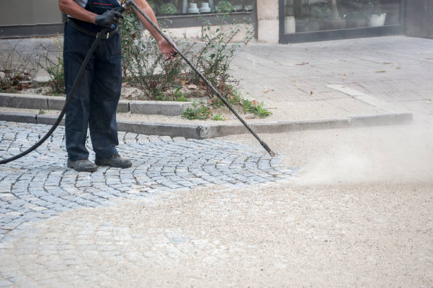 Best Dumpster Area Cleaning  in East Shoreham, NY